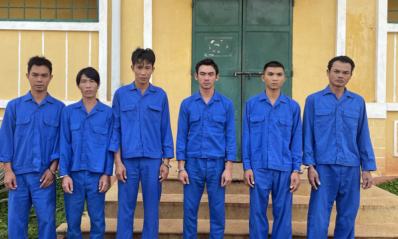 Thuê ô tô trộm hơn 3 tạ "tiểu hổ" đem bán