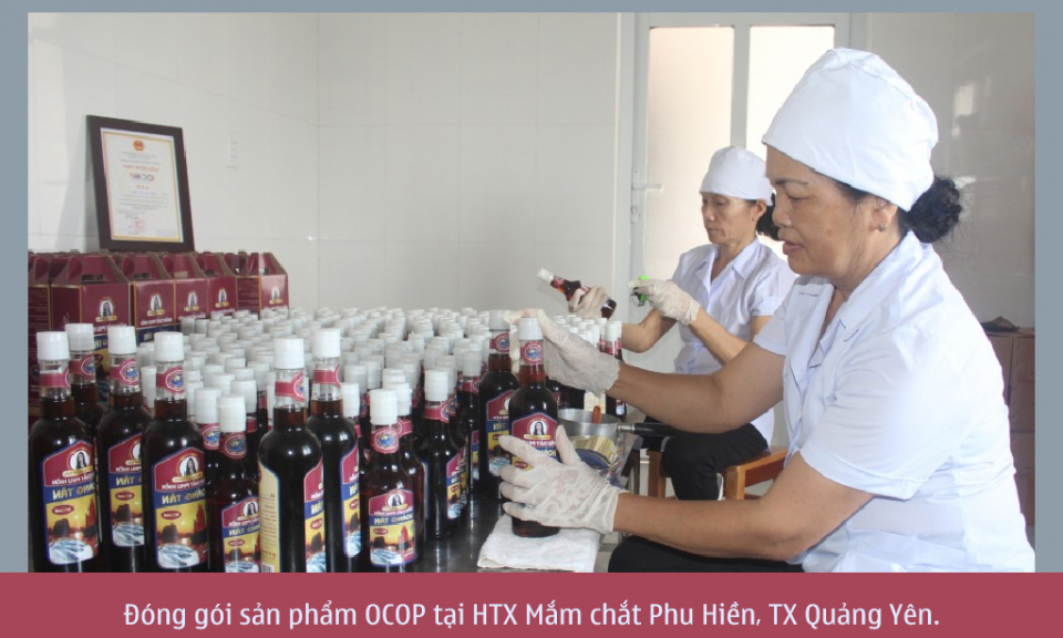 Lan toả niềm tự hào hàng Việt
