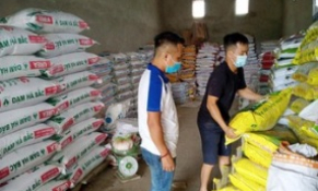 Vì sao nhiều loại phân bón vẫn tăng giá kỷ lục?