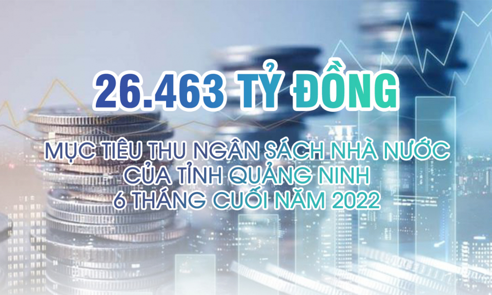 26.463 tỷ đồng - là mục tiêu thu ngân sách nhà nước của tỉnh 6 tháng cuối năm nay