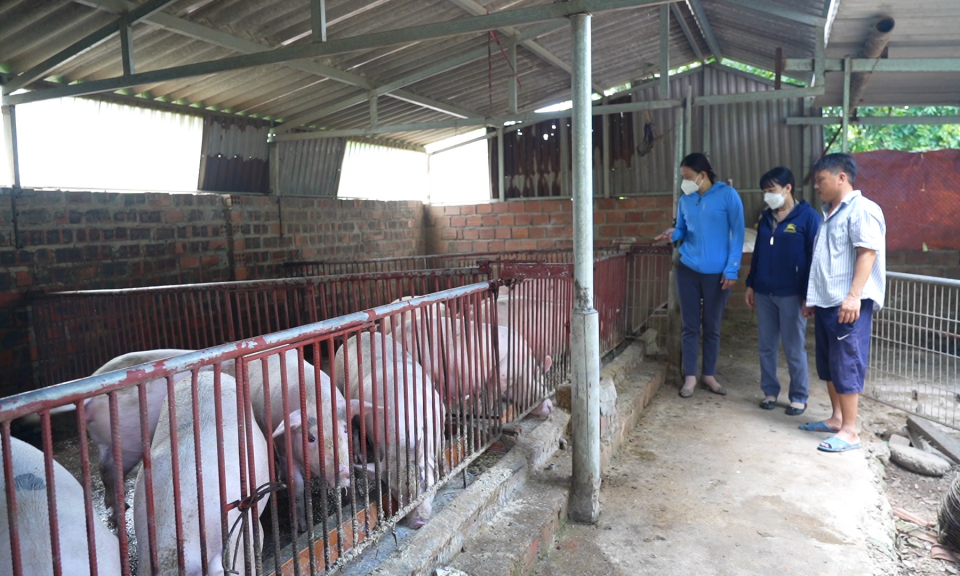 Tạo sức bật phát triển mới từ thôn, bản