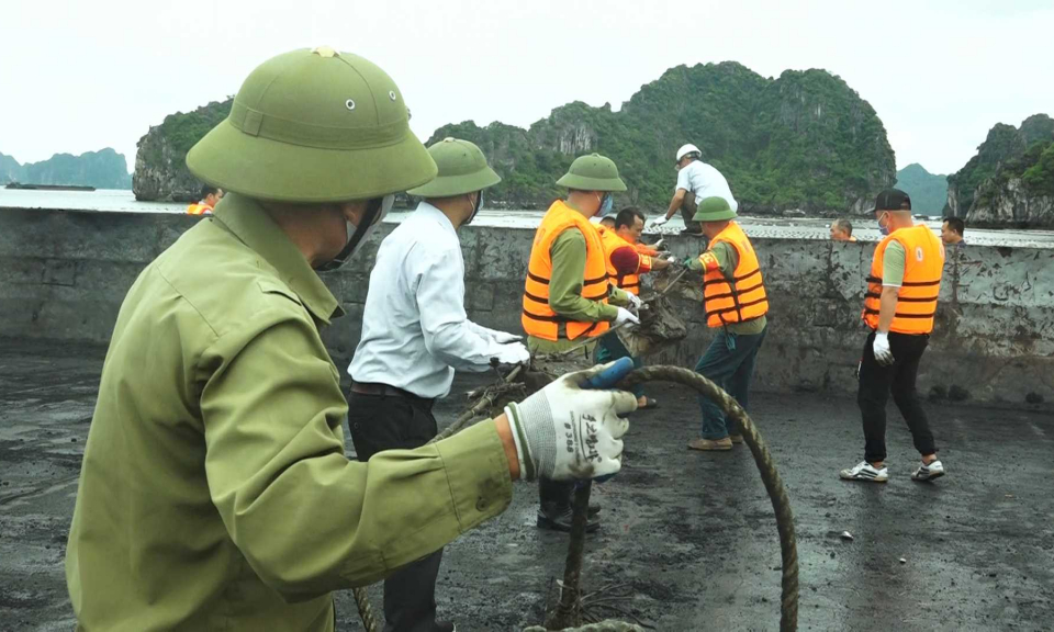 Cẩm Phả: Ra quân lập lại trật tự trên tuyến biển