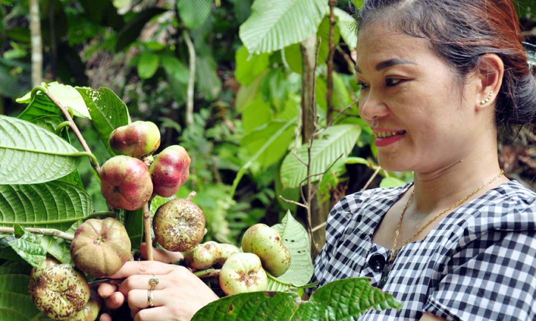 Bản tin vùng Đông Bắc ngày 09/8/2022