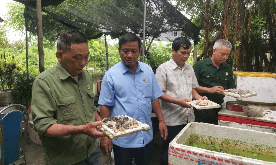 CCB tham gia công tác an sinh xã hội