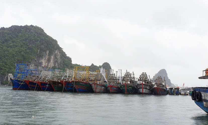 Bản tin Quảng Ninh ngày 10/8/2022