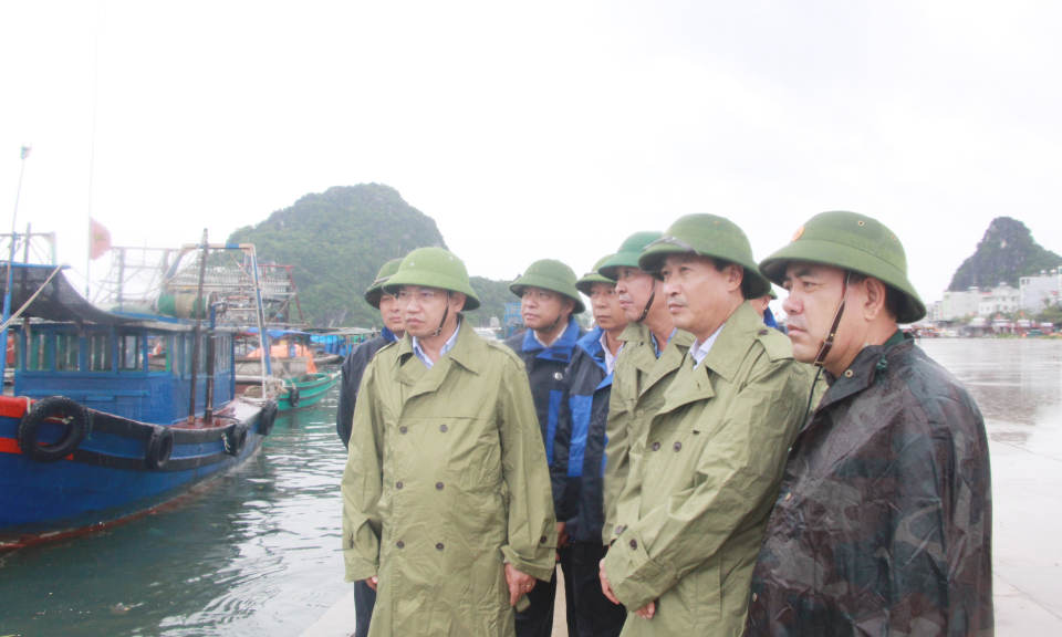 Tăng cường phòng, chống, ứng phó với cơn bão số 2 trên địa bàn tỉnh 