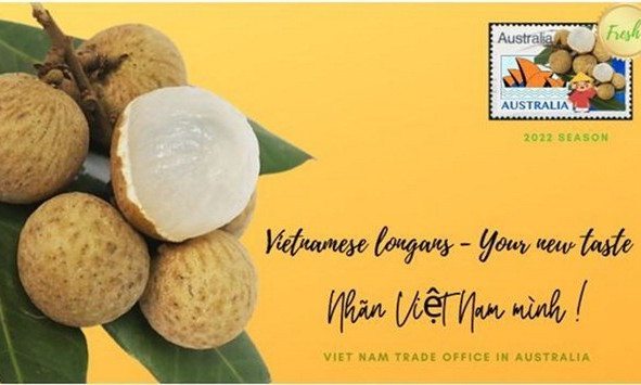 Ten tonnes of Vietnamese longan exported to Australia