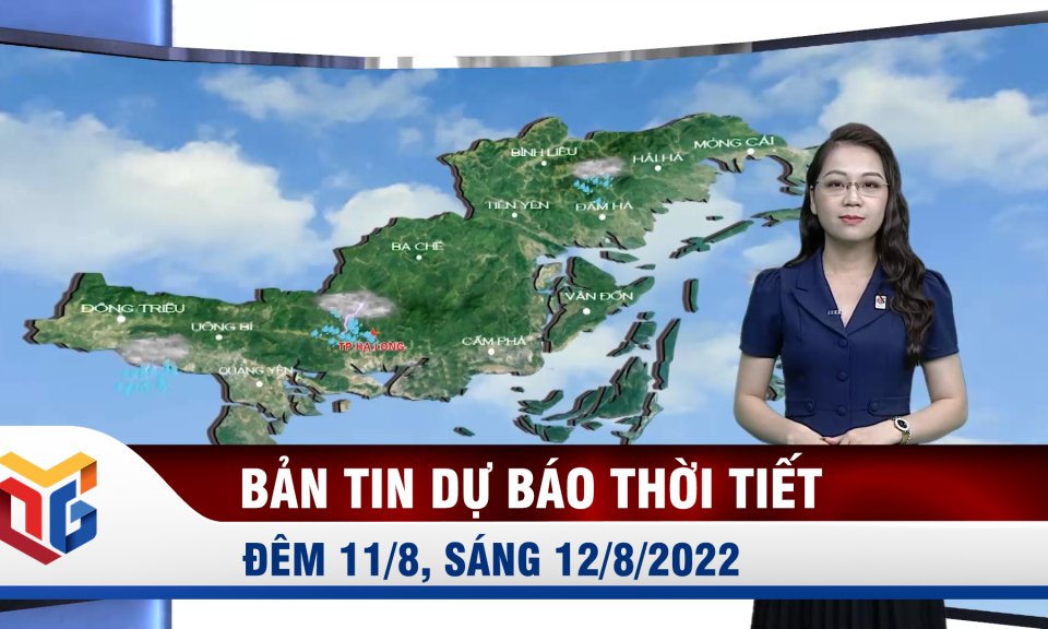 Bản tin dự báo thời tiết đêm 11, ngày 12/8/2022