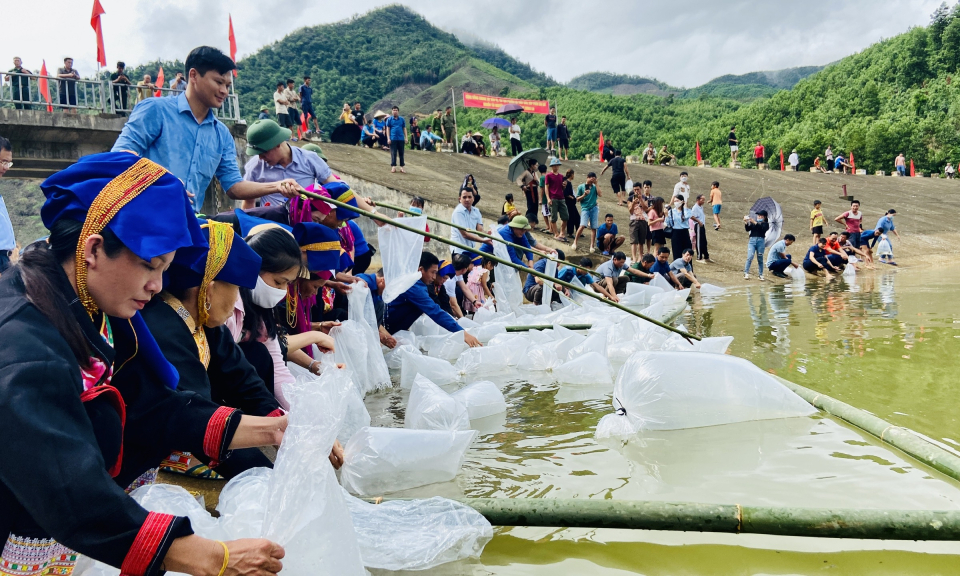 放生鱼苗，为恢复水产资源做出贡献