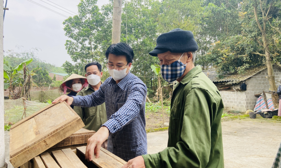 Hạ Long "cán đích" tiêu chí khó trong xây dựng nông thôn mới
