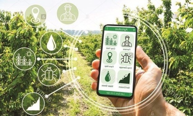 Vietnam accelerating digital transformation in new-style rural building