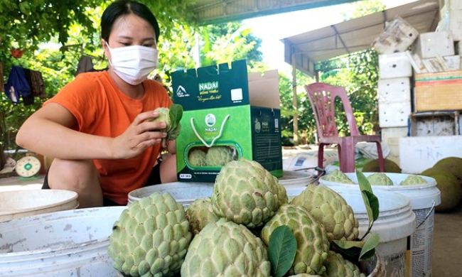 Bản tin vùng Đông Bắc ngày 18/8