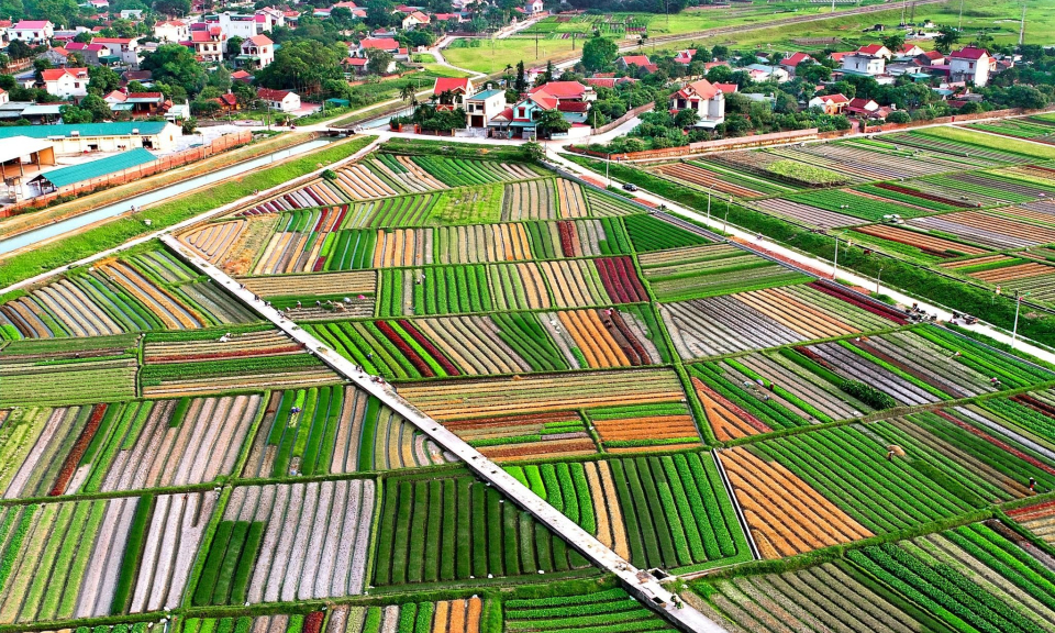Hành trình không điểm cuối