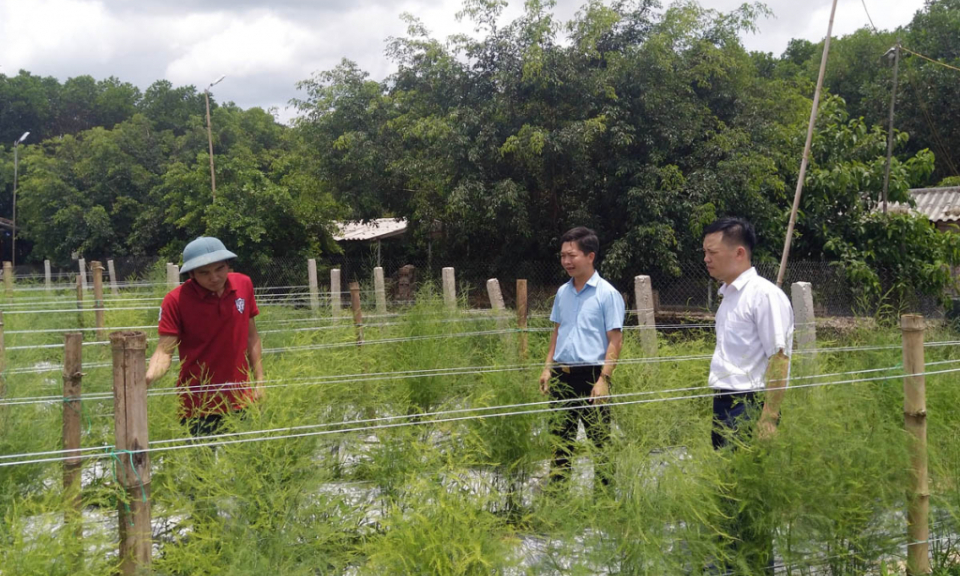 Phát huy vai trò chủ thể của nông dân