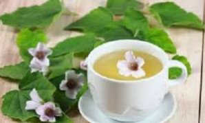  6 liệu pháp giảm ho tại nhà