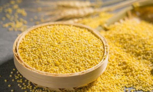 Lợi ích tuyệt vời của hạt kê