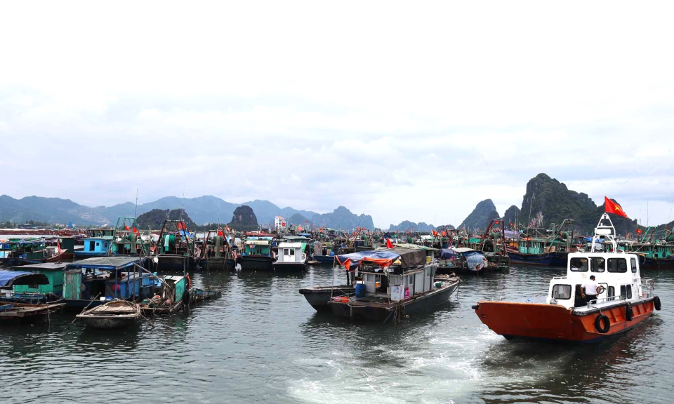Chủ động bảo vệ sản xuất nông nghiệp trong mùa mưa bão
