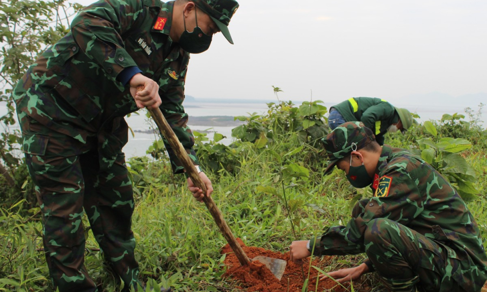 Đảm bảo kế hoạch trồng rừng