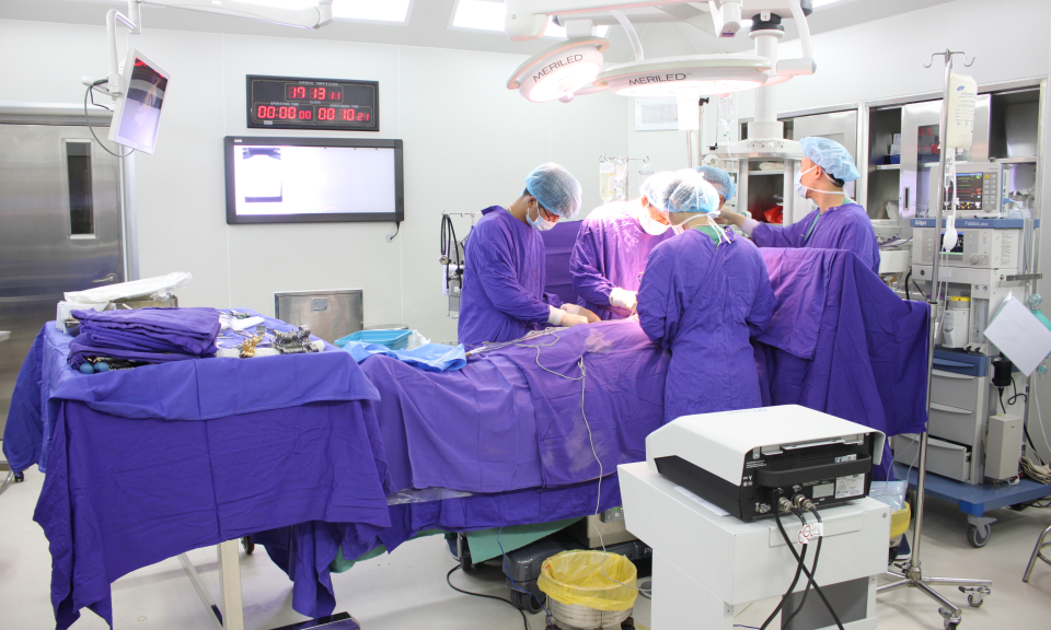 Phát triển các Hội y học chuyên ngành hướng đến vì sức khỏe cộng đồng
