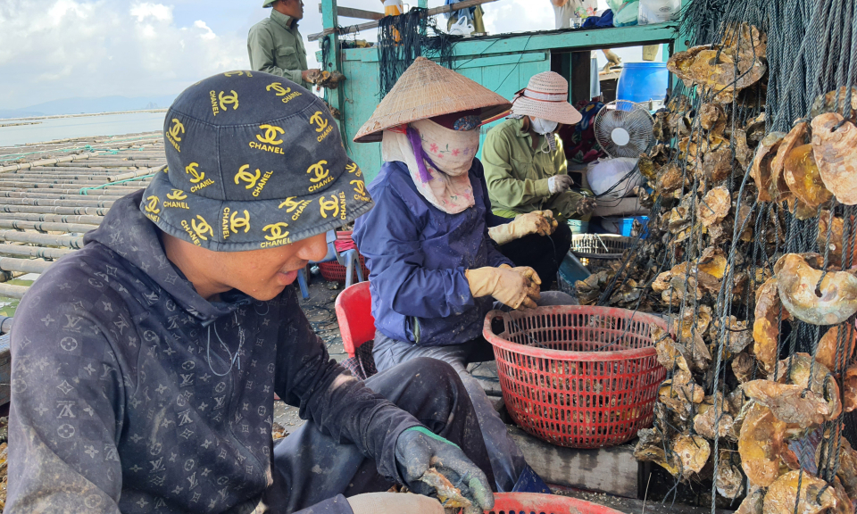 Những bước tiến mới của ngành thủy sản sau tái cơ cấu
