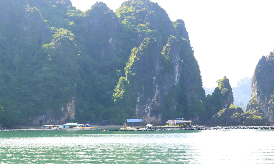 Đảo Phất Cờ và "vườn nổi" trên biển