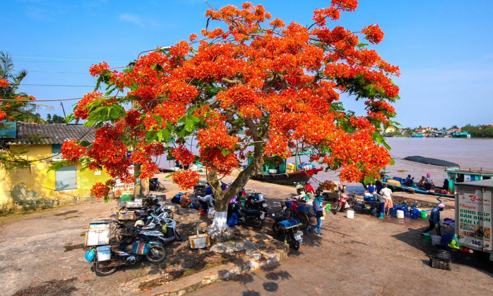 Đặt tên đường, phố ở Quảng Ninh