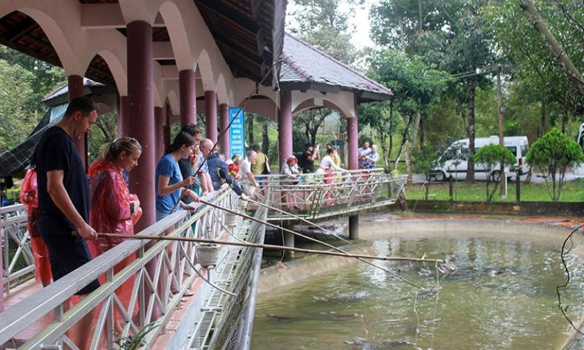 Tìm giải pháp thu hút khách du lịch quốc tế tới Việt Nam