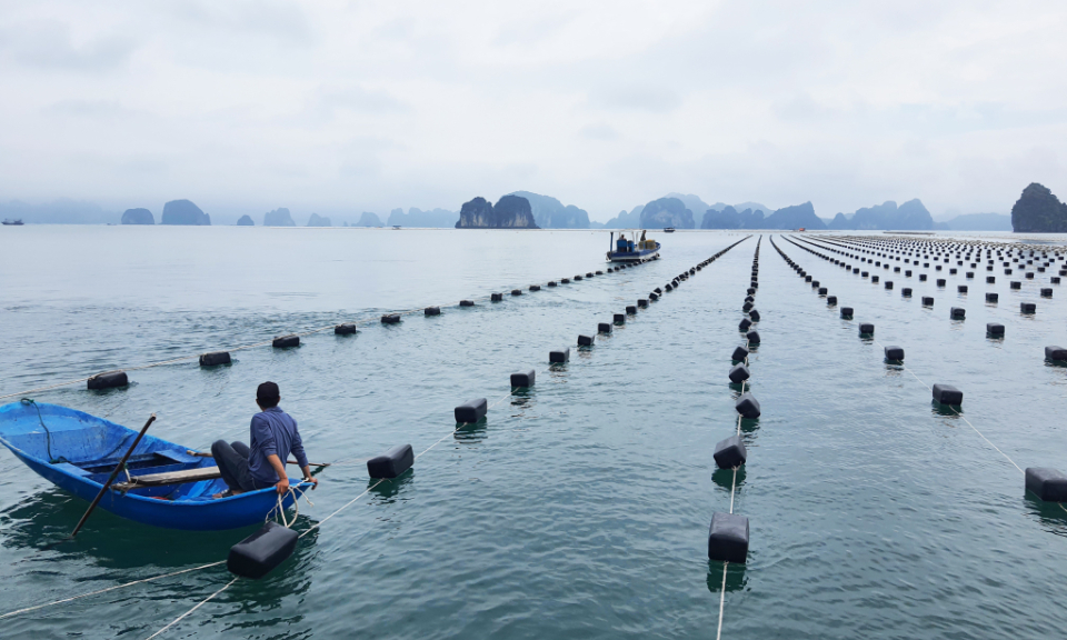 Đảm bảo mục tiêu đổi phao xốp sang vật liệu nổi thân thiện môi trường 