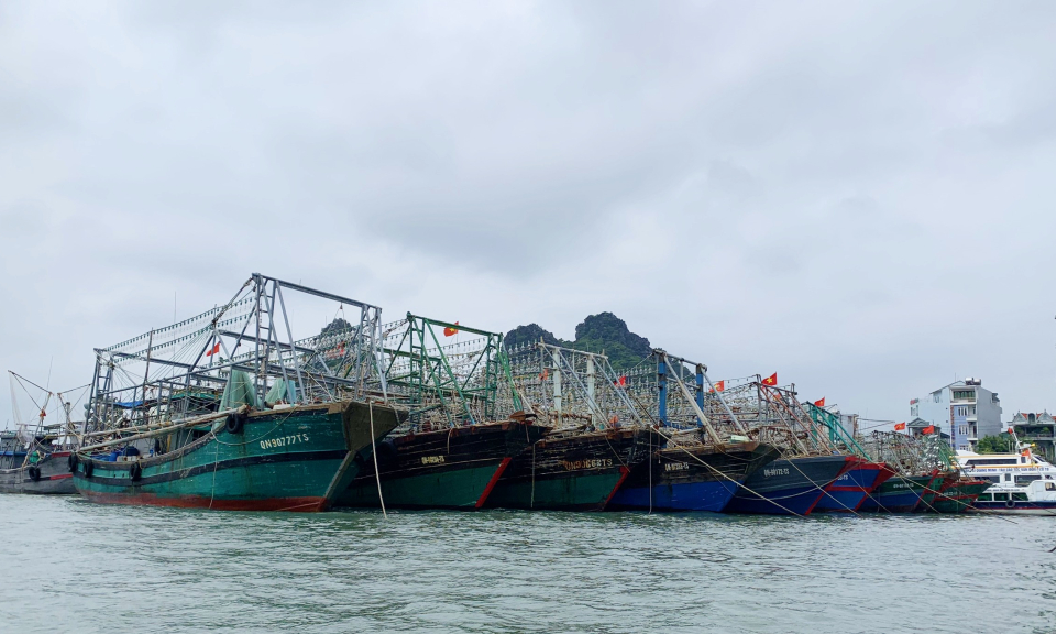 Chủ động các biện pháp phòng, chống cơn bão số 3