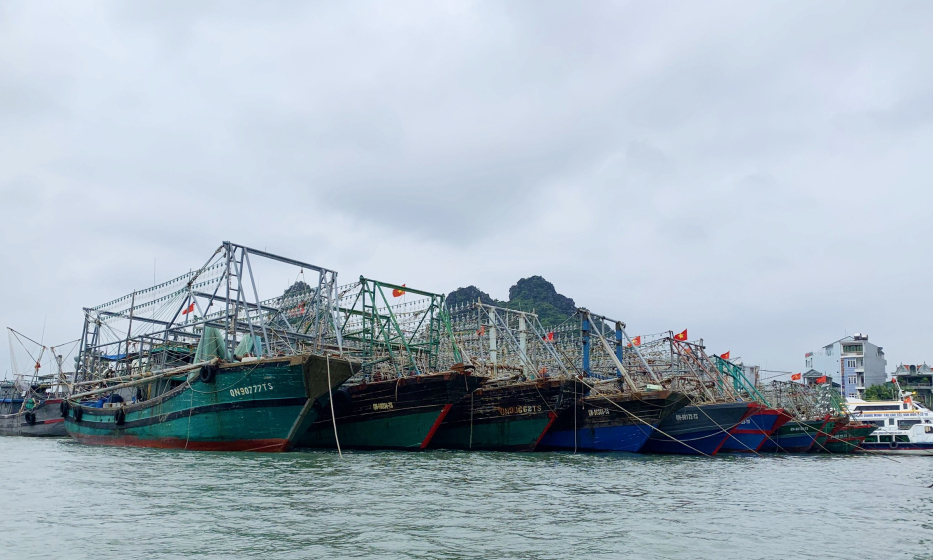 Bản tin Quảng Ninh ngày 25/8