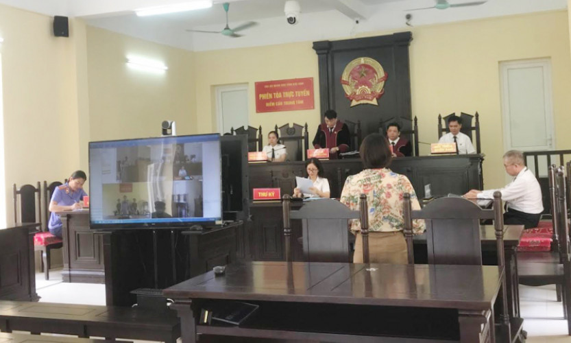 Vận chuyển 1 bánh heroin, người phụ nữ cao tuổi lĩnh 20 năm tù