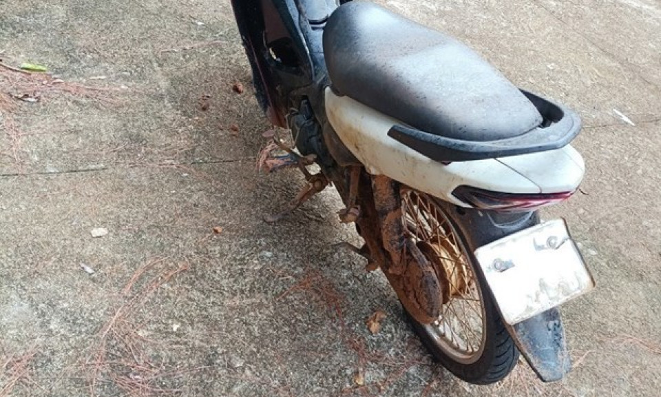 Hai bộ xương người phát hiện ở trong rừng là của nam giới