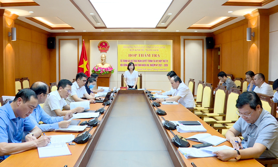 Ban Kinh tế - Ngân sách HĐND tỉnh thẩm tra tờ trình, dự thảo nghị quyết