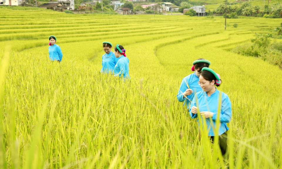 Developing community-based tourism in Tien Yen