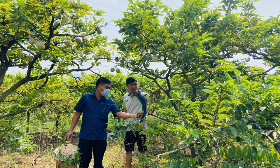 Đông Triều: Nâng cao chất lượng xây dựng nông thôn mới