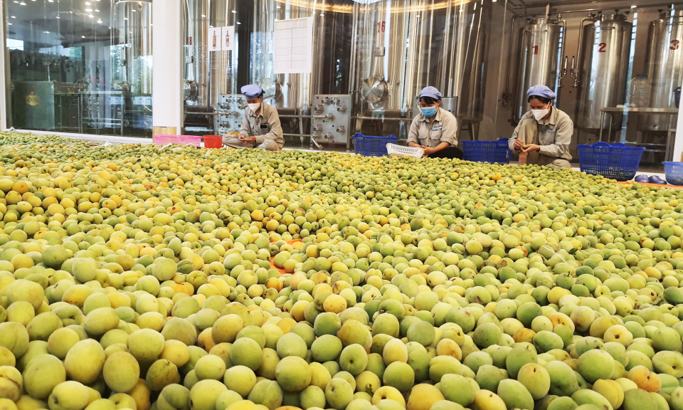 Tiếp nối đà tăng trưởng