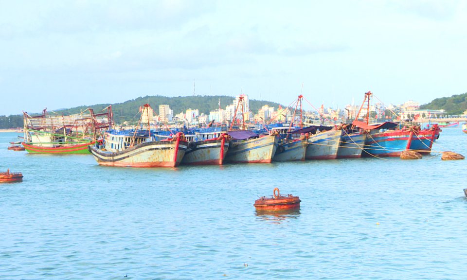 Thu hút đầu tư dịch vụ hậu cần nghề cá: Doanh nghiệp chưa mặn mà