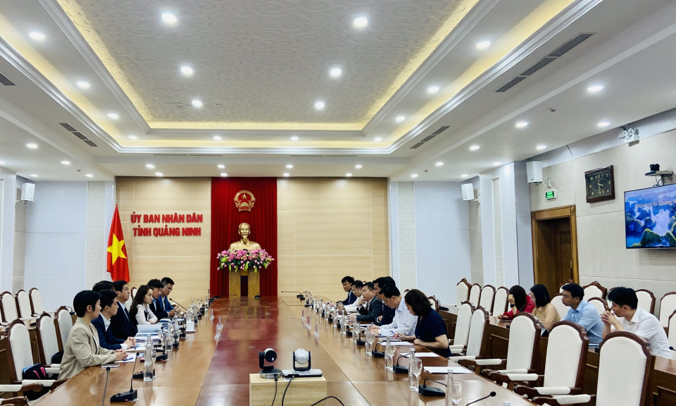 Tập đoàn Marubeni (Nhật Bản) tìm hiểu cơ hội hợp tác đầu tư về năng lượng sạch, cơ sở hạ tầng tại Quảng Ninh