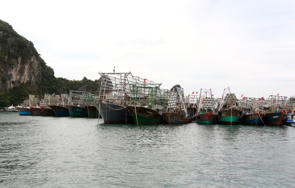 Tàu cá neo đậu tránh, trú bão tại khu vực cảng Cái Rồng (Vân Đồn). Ảnh: Mạnh Trường
