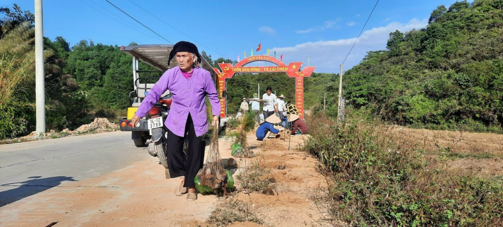 Người dân xã Cái Chiên trồng cây xanh dọc các tuyến đường trục thôn, tạo cảnh quan môi trường Xanh-Sạch-Đẹp