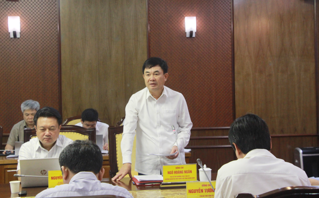 Đồng chí Ngô Hoàng Ngân, Phó Bí thư Thường trực Tỉnh ủy, Trưởng Đoàn ĐBQH phát biểu tại hội nghị.