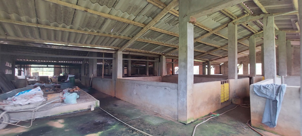Các trang trại, gia trại chăn nuôi ở khu vực đội 9, thôn 3, xã Vĩnh Thực đều chưa đảm bảo thiết kế chuồng trại chăn nuôi theo quy định