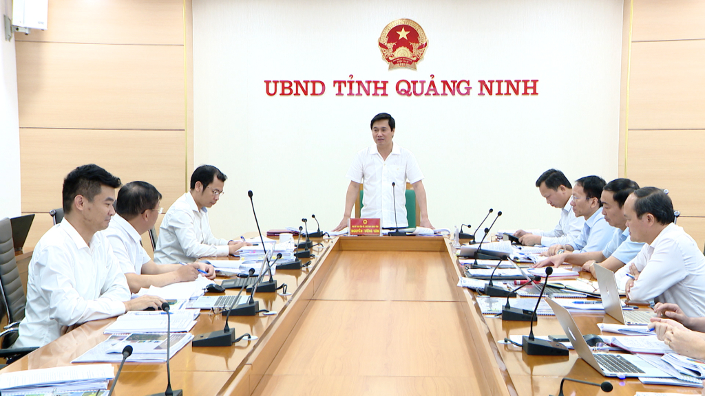 Đồng chí Nguyễn Tường Văn, Chủ tịch UBND tỉnh phát biểu tại cuộc họp