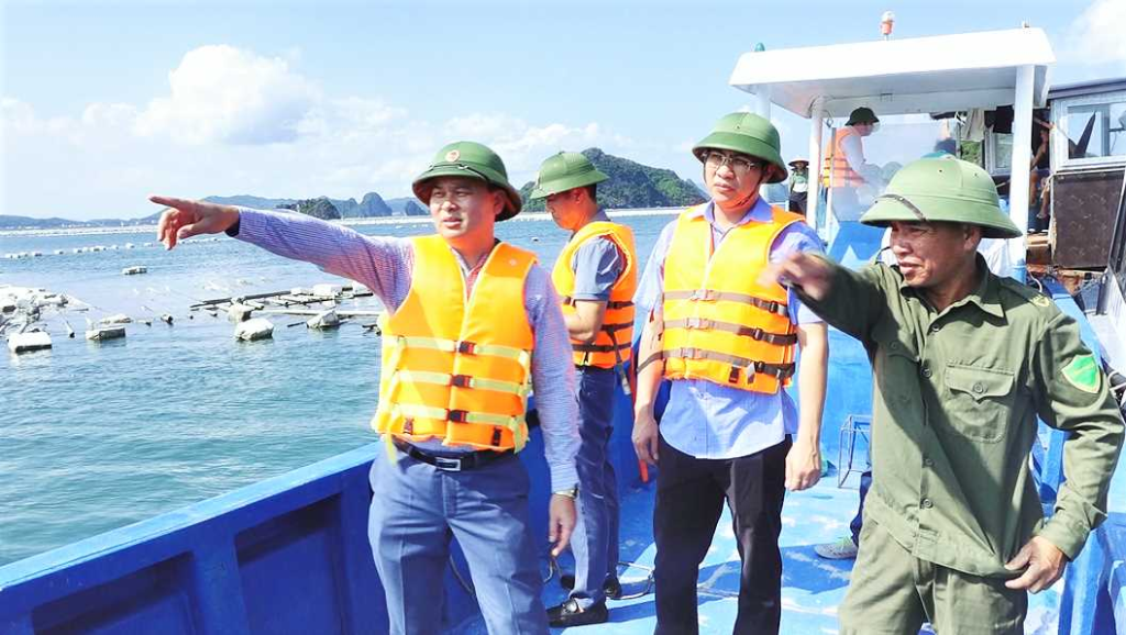 Đồng chí Trương Mạnh Hùng, Bí thư Huyện uỷ, Phó Trưởng Ban quản lý KKT Vân Đồn  trực tiếp kiểm tra và chỉ đạo việc ra quân xử lý phao xốp tại vùng biển xã Đông Xá.