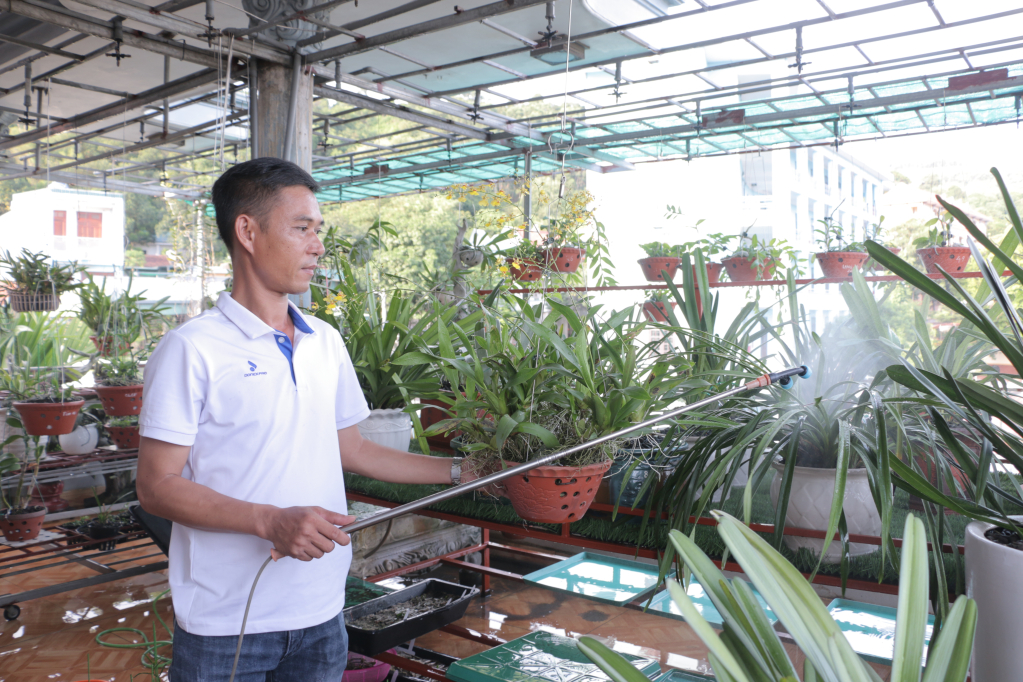 Phạm Văn Thiêm đang chăm sóc Vườn hoa lan của gia đình sau những giờ làm việc