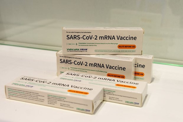 Indonesia cap phep vaccine mRNA ngua COVID-19 cua Trung Quoc hinh anh 1