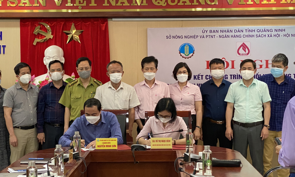 Nguồn vốn tín dụng chính sách 