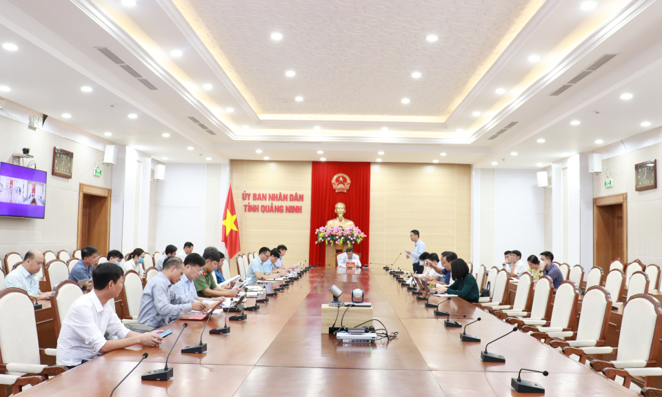 Tham gia ý kiến hoàn thiện Đề án thí điểm mô hình kinh tế đêm trên địa bàn tỉnh