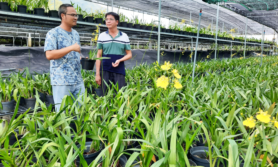 Phát triển nông nghiệp công nghệ cao: Bức tranh chưa có điểm nhấn mới