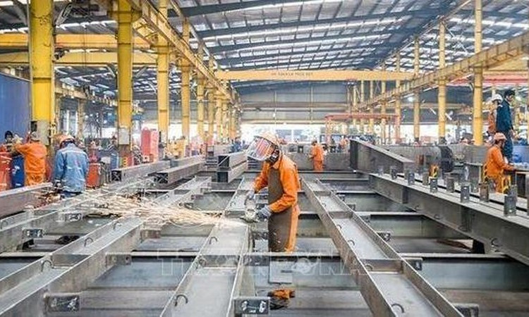Important achievements recorded in domestic economic situation in eight months: MPI